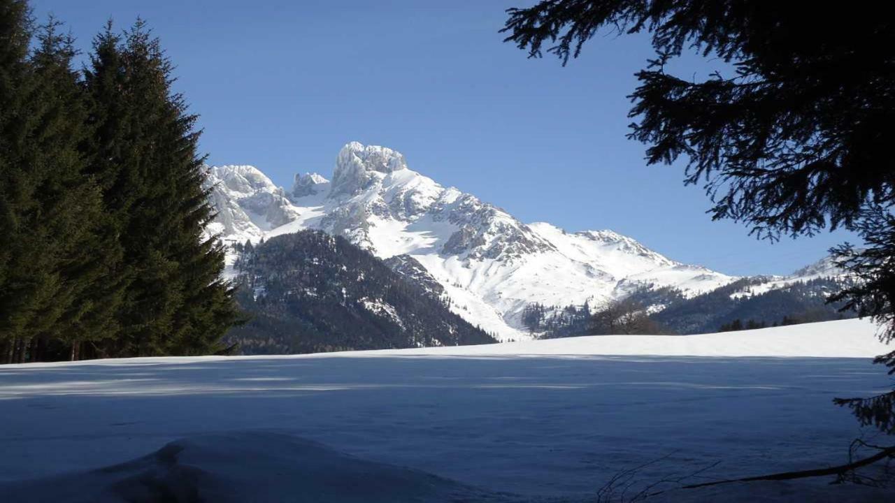 Berg Chalet Annaberg im Lammertal Esterno foto
